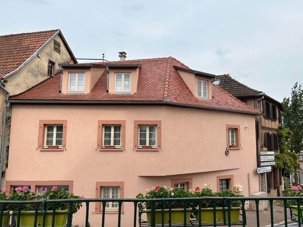 Gite Ma Maison Kintzheim Ngoại thất bức ảnh